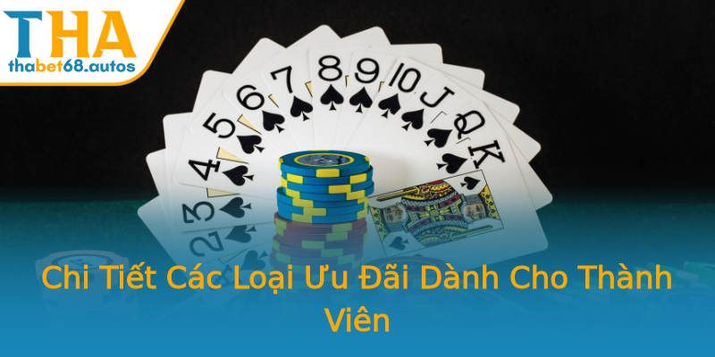 Chi Tiết Các Loại Ưu Đãi Dành Cho Thành Viên Chi Tiết Các Loại Ưu Đãi Dành Cho Thành Viên