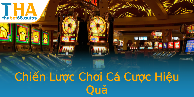 Chiến Lược Chơi Cá Cược Hiệu Quả Chiến Lược Chơi Cá Cược Hiệu Quả