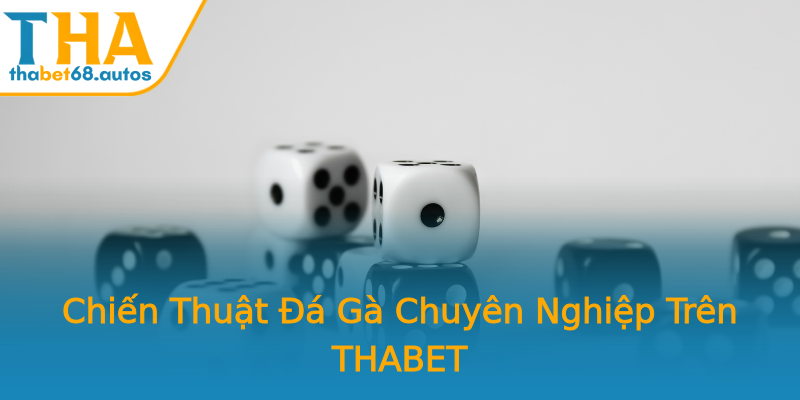 Chiến Thuật Đá Gà Chuyên Nghiệp Trên THABET Chiến Thuật Đá Gà Chuyên Nghiệp Trên THABET