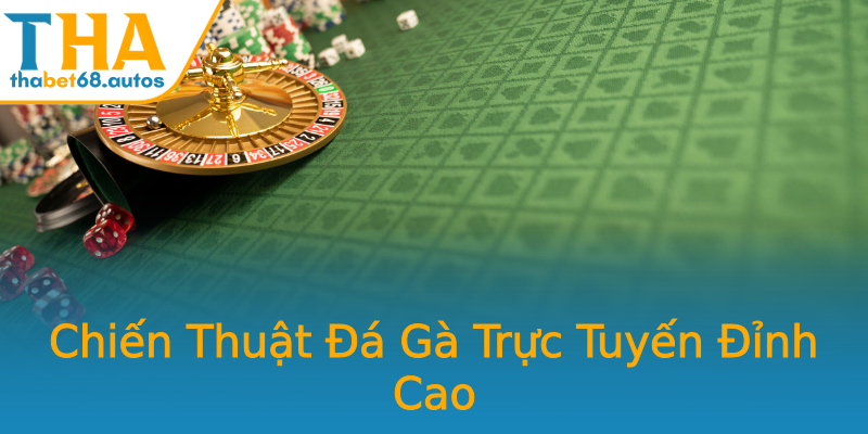 Chiến Thuật Đá Gà Trực Tuyến Đỉnh Cao Chiến Thuật Đá Gà Trực Tuyến Đỉnh Cao
