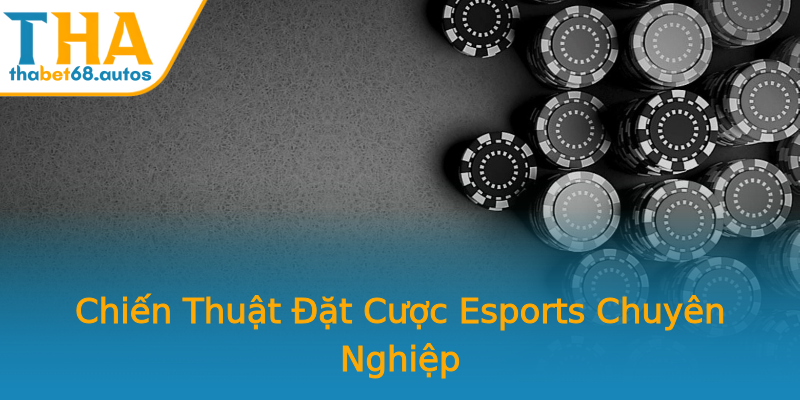 Chiến Thuật Đặt Cược Esports Chuyên Nghiệp Chiến Thuật Đặt Cược Esports Chuyên Nghiệp