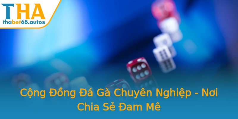 Cộng Đồng Đá Gà Chuyên Nghiệp - Nơi Chia Sẻ Đam Mê Cộng Đồng Đá Gà Chuyên Nghiệp - Nơi Chia Sẻ Đam Mê