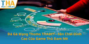 Da Ga Mang Thomo Thabet San Choi Dinh Cao Cua Game Thu Dam Me0
