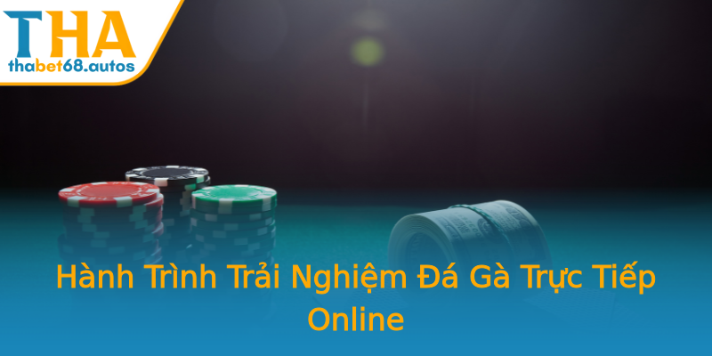 Hành Trình Trải Nghiệm Đá Gà Trực Tiếp Online Hành Trình Trải Nghiệm Đá Gà Trực Tiếp Online