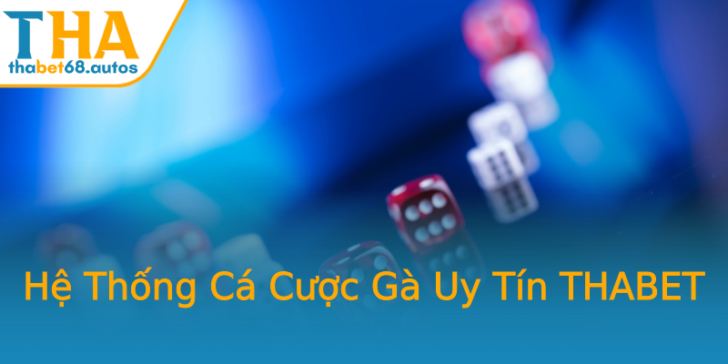 Hệ Thống Cá Cược Gà Uy Tín THABET Hệ Thống Cá Cược Gà Uy Tín THABET