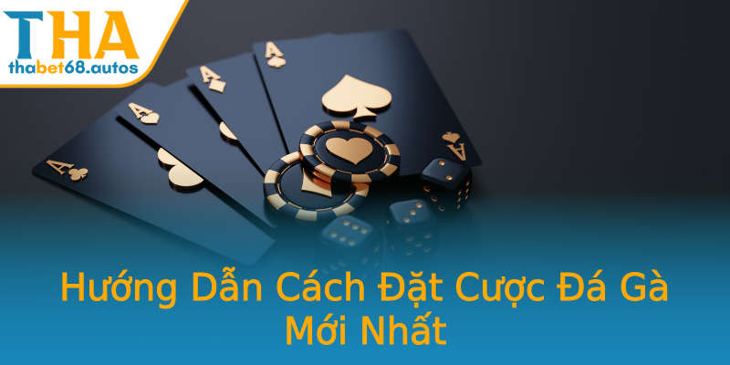 Hướng Dẫn Cách Đặt Cược Đá Gà Mới Nhất Hướng Dẫn Cách Đặt Cược Đá Gà Mới Nhất