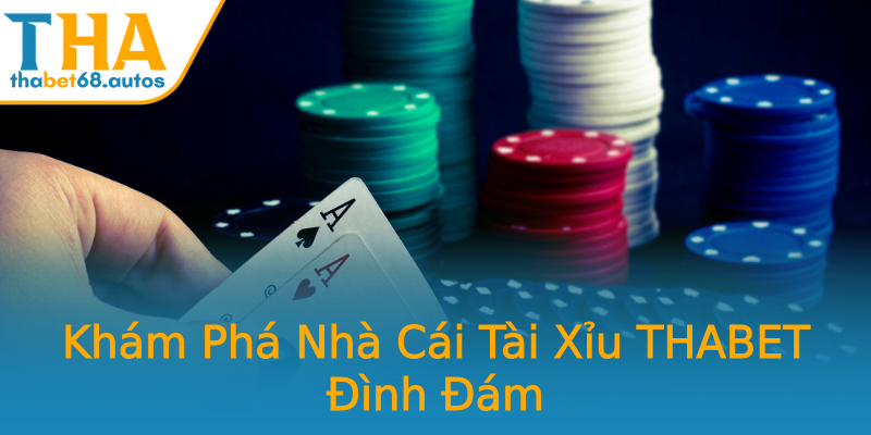 Khám Phá Nhà Cái Tài Xỉu THABET Đình Đám Khám Phá Nhà Cái Tài Xỉu THABET Đình Đám