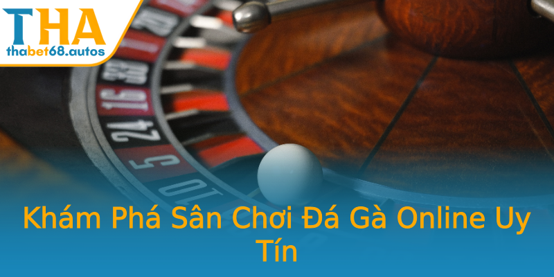 Khám Phá Sân Chơi Đá Gà Online Uy Tín Khám Phá Sân Chơi Đá Gà Online Uy Tín