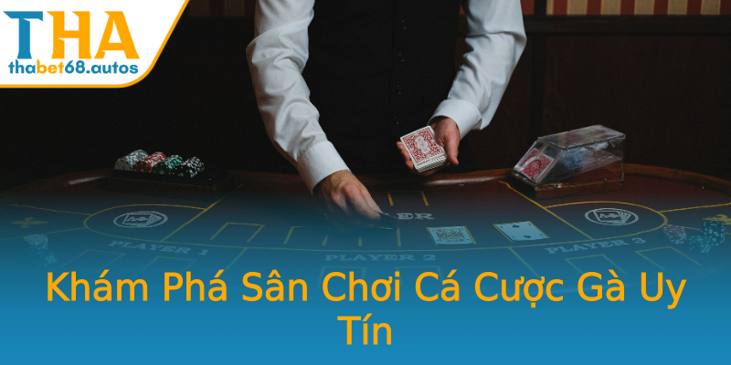 Khám Phá Sân Chơi Cá Cược Gà Uy Tín Khám Phá Sân Chơi Cá Cược Gà Uy Tín
