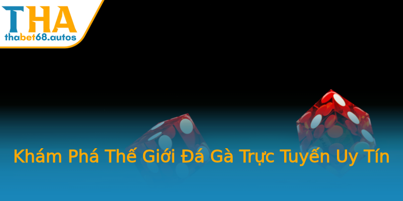 Khám Phá Thế Giới Đá Gà Trực Tuyến Uy Tín Khám Phá Thế Giới Đá Gà Trực Tuyến Uy Tín