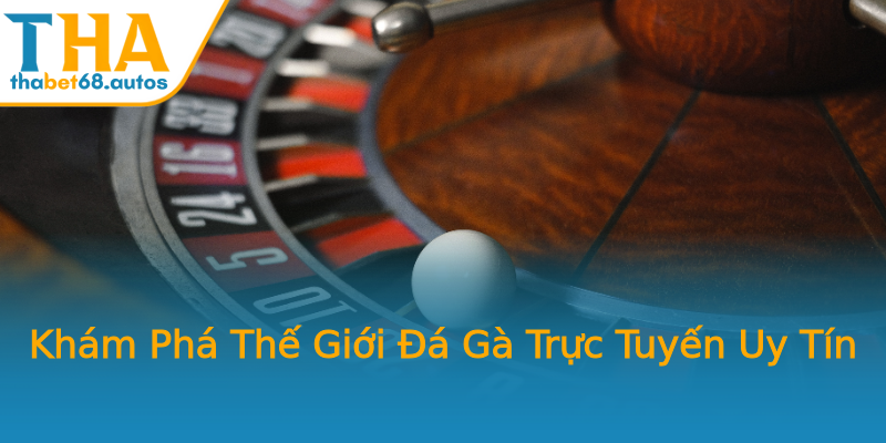 Khám Phá Thế Giới Đá Gà Trực Tuyến Uy Tín Khám Phá Thế Giới Đá Gà Trực Tuyến Uy Tín
