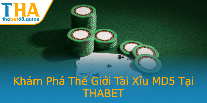 Khám Phá Thế Giới Tài Xỉu MD5 Tại THABET Khám Phá Thế Giới Tài Xỉu MD5 Tại THABET
