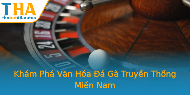 Khám Phá Văn Hóa Đá Gà Truyền Thống Miền Nam Khám Phá Văn Hóa Đá Gà Truyền Thống Miền Nam