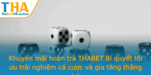 Khuyen Mai Hoan Tra Thabet Bi Quyet Toi Uu Trai Nghiem Ca Cuoc Va Gia Tang Thang Loi