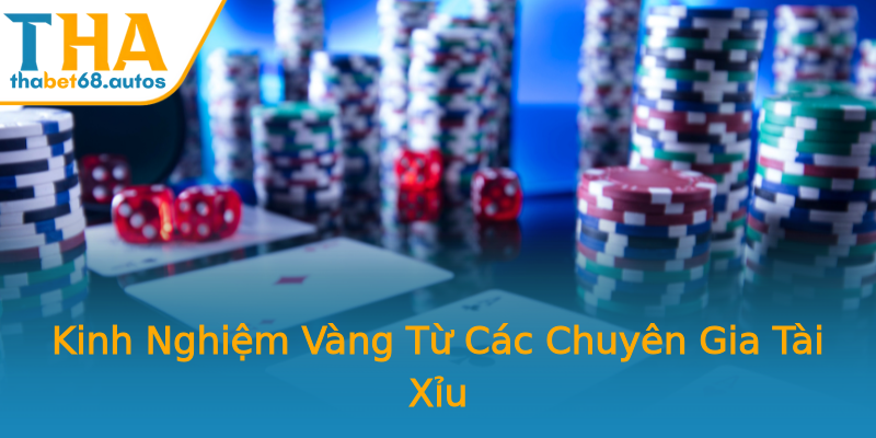 Kinh Nghiệm Vàng Từ Các Chuyên Gia Tài Xỉu Kinh Nghiệm Vàng Từ Các Chuyên Gia Tài Xỉu