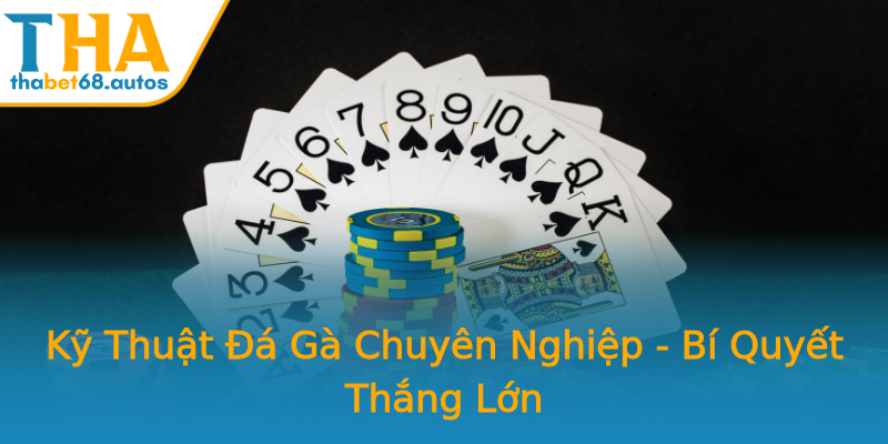 Kỹ Thuật Đá Gà Chuyên Nghiệp - Bí Quyết Thắng Lớn Kỹ Thuật Đá Gà Chuyên Nghiệp - Bí Quyết Thắng Lớn