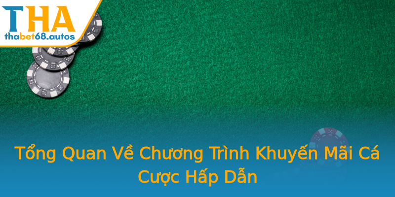 Tổng Quan Về Chương Trình Khuyến Mãi Cá Cược Hấp Dẫn Tổng Quan Về Chương Trình Khuyến Mãi Cá Cược Hấp Dẫn