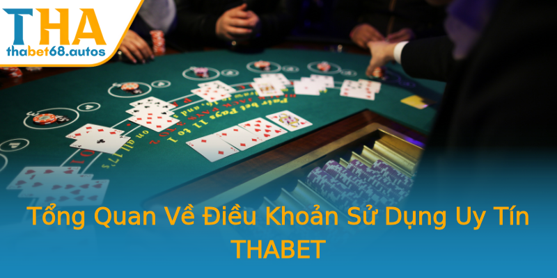 Tổng Quan Về Điều Khoản Sử Dụng Uy Tín THABET Tổng Quan Về Điều Khoản Sử Dụng Uy Tín THABET