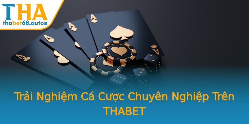 Trải Nghiệm Cá Cược Chuyên Nghiệp Trên THABET Trải Nghiệm Cá Cược Chuyên Nghiệp Trên THABET