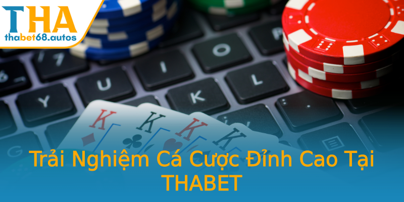 Trải Nghiệm Cá Cược Đỉnh Cao Tại THABET Trải Nghiệm Cá Cược Đỉnh Cao Tại THABET