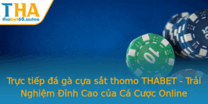 Truc Tiep A Ga Cua Sat Thomo Thabet Trai Nghiem Inh Cao Cua Ca Cuoc Online