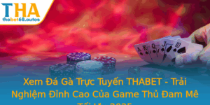 Xem A Ga Truc Tuyen Thabet Trai Nghiem Inh Cao Cua Game Thu Am Me Toi Uu 2025